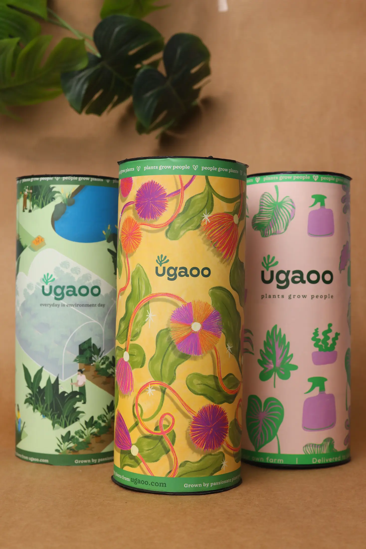 Colourful illustrated cylindrical packaging created for Ugaoo